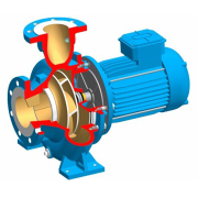Buy Combi Bloc Horti Centrifugal Pump