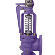 Safety Relief Valve Darling Muesco