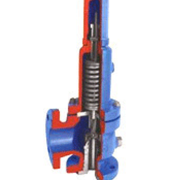 Safety Relief Valve T100 Darling Muesco