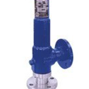 Safety Relief Valve Darling Muesco