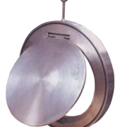 Wafer Type Swing Disc Check Valve dealers in india