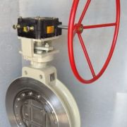 Double Offset Disc Butterfly Valve supplier from india