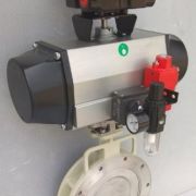Double Offset Disc Butterfly Valve