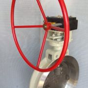 Double Offset Disc Butterfly Valve